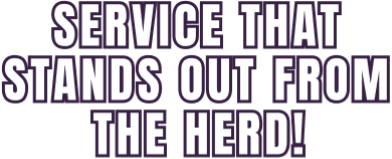 Service that stands out from the herd!