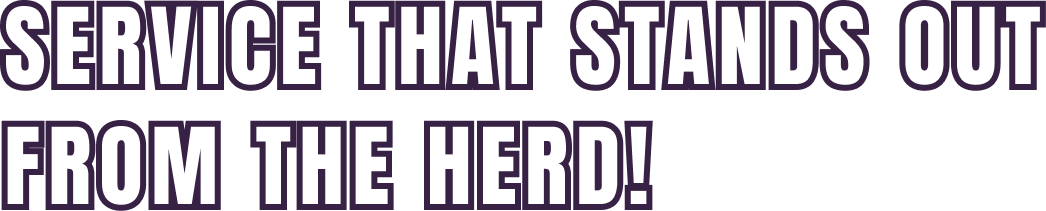 Service that stands out from the herd!